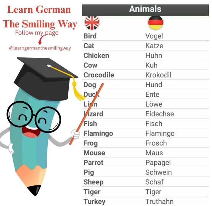 12th Grade Foreign education